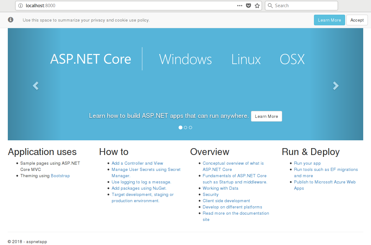 ASP.Net core container